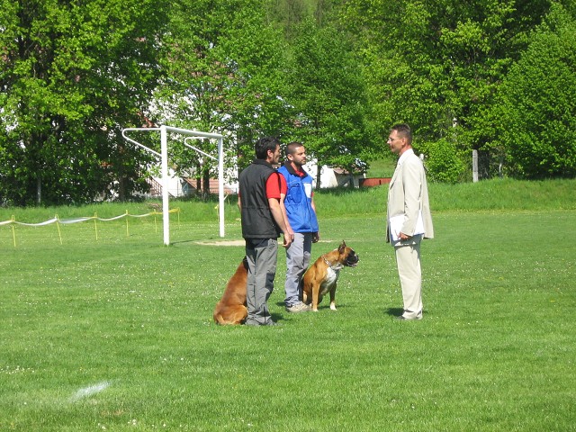 www.atibox.net * www.euroboxer.eu * www.boxergenealogia.eu
